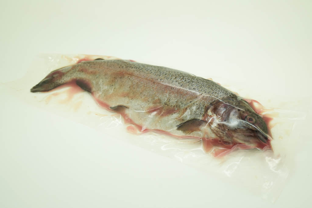 Rainbow trout gutted 300/350 VAK /0.5/