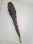 Catfish KK 800-1600 ag Vak